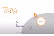 Focus on Health - Insulin Resistance