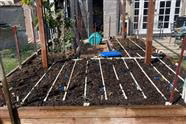 Planting Day for My Fall/Winter Garden