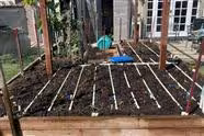 Planting Day for My Fall/Winter Garden