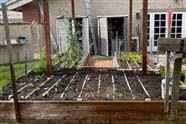 Planting Day Spring/Summer 2024