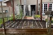 Planting Day Spring/Summer 2024
