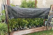 Protect Your Peppers From the Sun With a Sun Shade