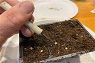 2025 Spring Seed Starting Day - Lot's of Changes This Year