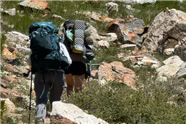 I am Organizing My Backpacking Gear and Upgrading a Few Things This Year