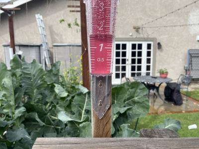 Rain Gauge